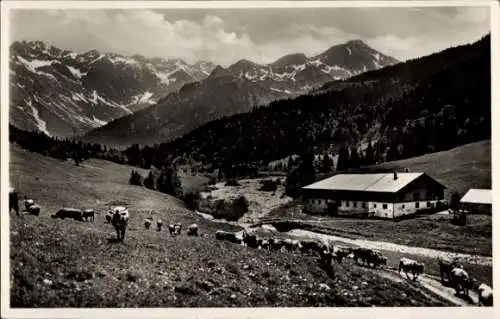 Ak Mitterhaus Bad Hindelang im Oberallgäu, Panorama, Nebelhorngruppe