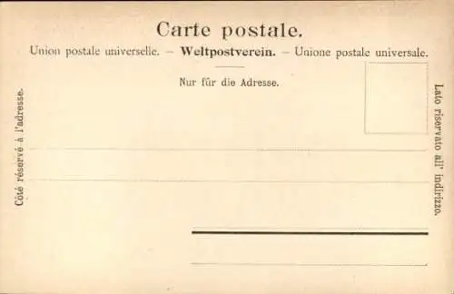 Ak Rigi Kaltbad Kanton Luzern, Panorama