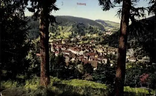 Ak Triberg im Schwarzwald, Panorama
