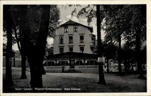 Ak Gremsmühlen Malente in Ostholstein, Hotel Dieksee