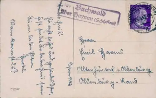 Landpoststempel Buchwald über Haynau (Schlesien), auf Ansichtskarte