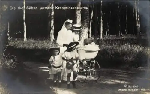 Ak Die drei Söhne des Kronprinzenpaares, Prinz Wilhelm, Louis Ferdinand, Hubertus, Kinderwagen