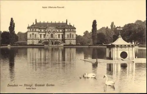 Ak Dresden Altstadt, Großer Garten, Palais Teich, Altertums-Museum, Schwäne