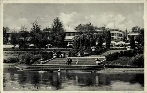 Ak Magdeburg an der Elbe, Adolf Mittag-See, Schwan, Enten