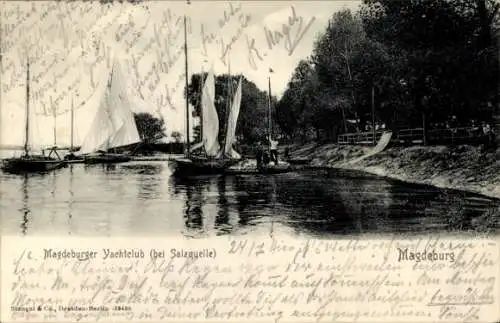 Ak Magdeburg an der Elbe, Yachtclub, Salzquelle