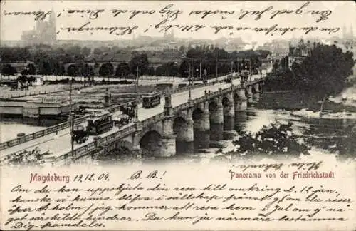 Ak Magdeburg an der Elbe, Blick von der Friedrichstadt, Panorama