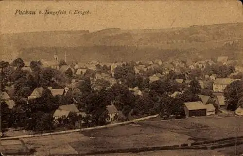 Ak Pockau im Erzgebirge Sachsen, Panorama