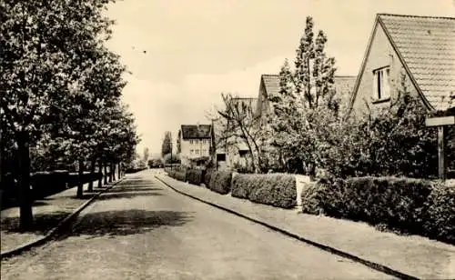 Ak Boizenburg an der Elbe, Siedlung