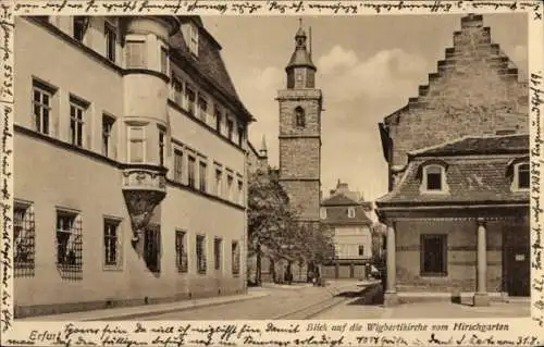 Ak Erfurt in Thüringen, Wigbertikirche vom Hirschgarten aus