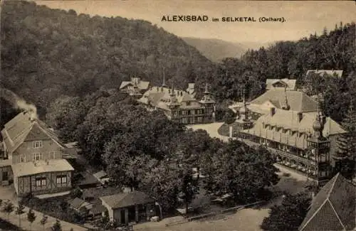 Ak Alexisbad Harzgerode Harz, Kuranlagen im Selketal