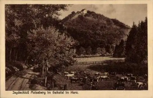 Ak Ballenstedt im Harz, Jagdschloss Meiseberg