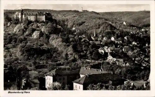 Ak Blankenburg am Harz, Panorama