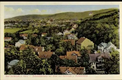 Ak Bad Suderode Quedlinburg im Harz, Schwedderberg