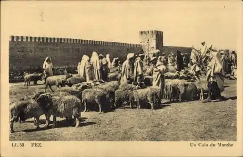 Ak Fès Fez Marokko, Schafe auf dem Markt