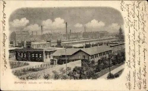 Ak Hamburg Mitte St. Pauli, Schlacht- und Viehhof