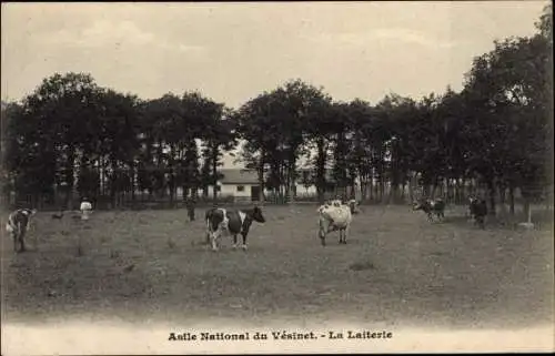 Ak Le Vesinet Yvelines, Asile National, La Laiterie