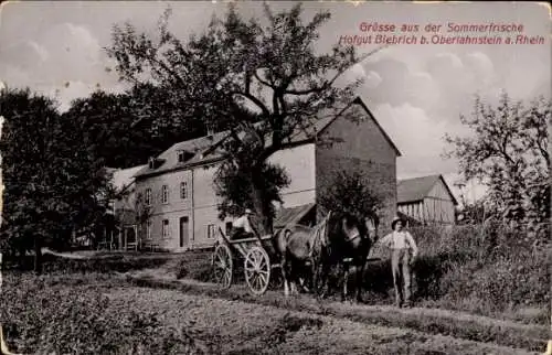 Ak Biebrich am Rhein Wiesbaden, Hofgut Biebrich, Fuhrwerk