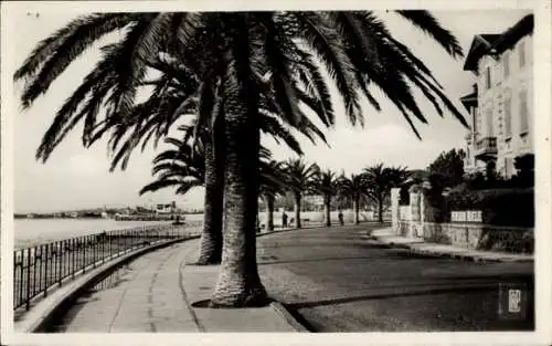 Ak Saint Raphaël Var, Boulevard Felix Martin