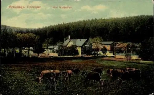 Ak Braunlage im Oberharz, Hotel Waldmühle