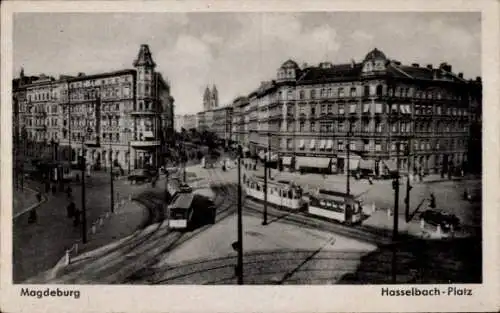 Ak Magdeburg an der Elbe, Hasselbach-Platz, Straßenbahnen