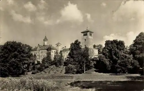 Ak Waldenburg in Sachsen, Tbc-Heilstätte