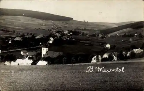 Ak Wiesental Butzbach im Taunus, Panorama