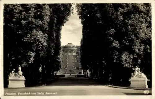 Ak Potsdam, Schloss Sanssouci