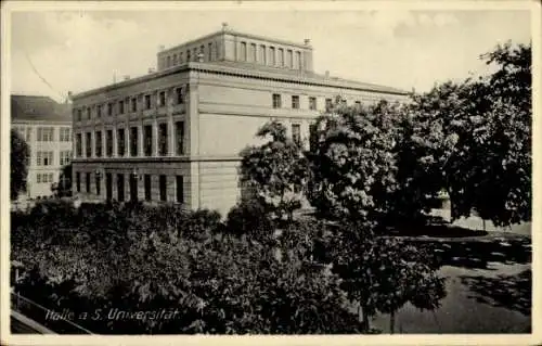 Ak Halle an der Saale, Universität