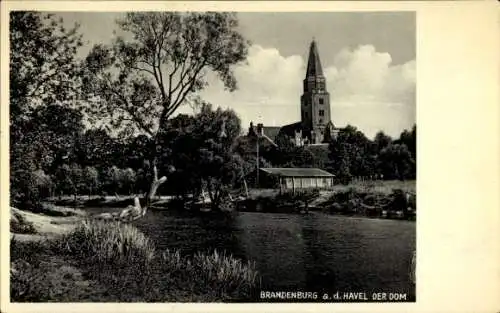 Ak Brandenburg an der Havel, Dom