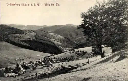 Ak Todtnauberg Todtnau im Schwarzwald, Panorama