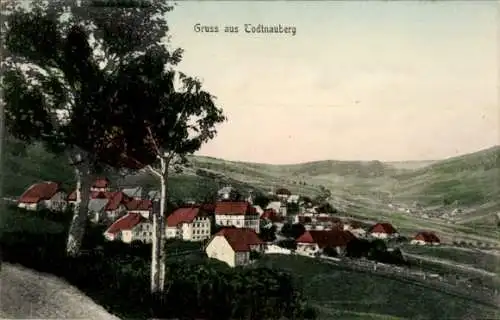 Ak Todtnauberg Todtnau im Schwarzwald, Panorama