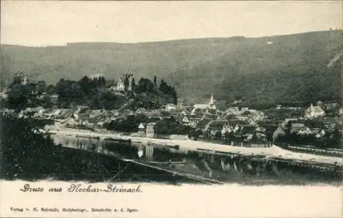 Ak Neckarsteinach im Kreis Bergstraße Hessen, Totale