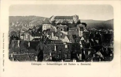 Ak Tübingen am Neckar, Hohentübingen, Neckar- und Ammertal