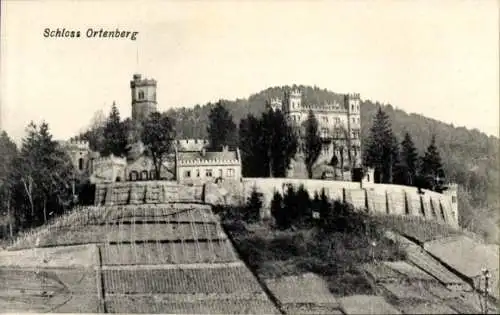 Ak Ortenberg in Baden, Schloss Ortenberg