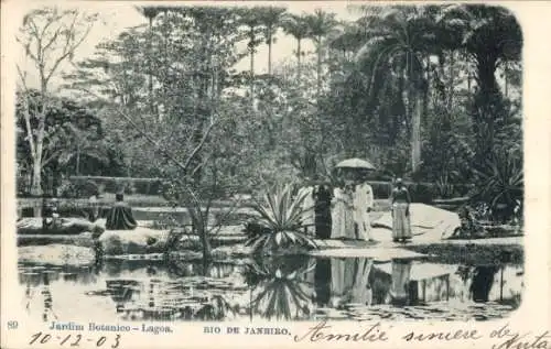 Ak Rio de Janeiro Brasilien, Jardim Botanico