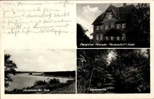 Ak Neversdorf in Schleswig Holstein, Pensionat Petersen, Waldpartie, Neversdorfer See