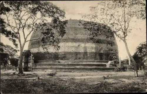 Ak Anuradhapura Sri Lanka, Mirisavetiya Dagoba