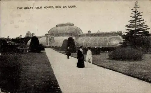 Ak Kew Londoner Stadtteil Richmond upon Thames, Kew Gardens, das Große Palmenhaus