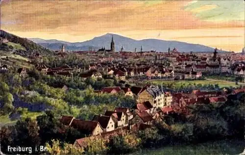 Künstler Ak Freiburg Breisgau, Panorama