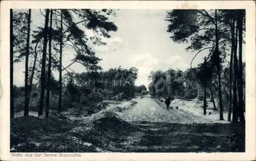 Ak Staumühle Hövelhof in Westfalen, Senne, Mann, Hunde