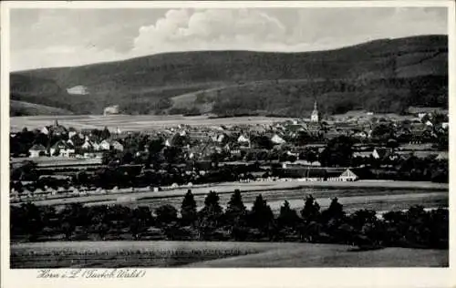 Ak Horn Bad Meinberg am Teutoburger Wald, Gesamtansicht, Kirchturm