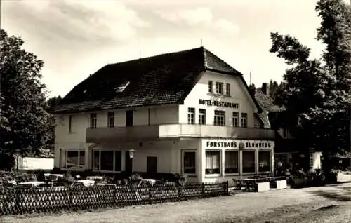 Ak Blomberg in Lippe, Forsthaus Blomberg