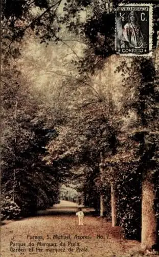 Ak Furnas São Miguel Azoren Portugal, Parque de Marquez da Praia