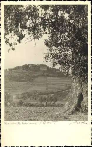 Foto Ak Reichelsheim im Odenwald, Blick vom Baum auf das Feld