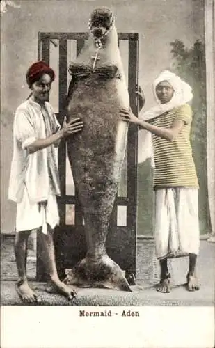 Ak Aden Jemen, Mermaid, Meerjungfrau, Dugong, Seekuh