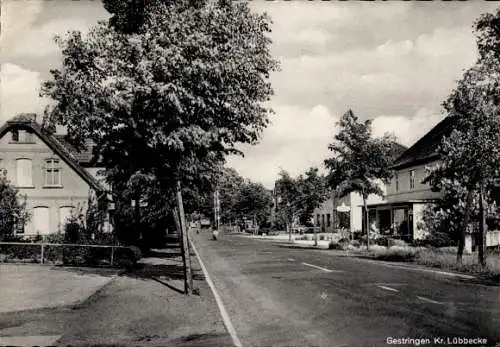 Ak Gestringen Espelkamp in Ostwestfalen Lippe, Geschäft, Teilansicht