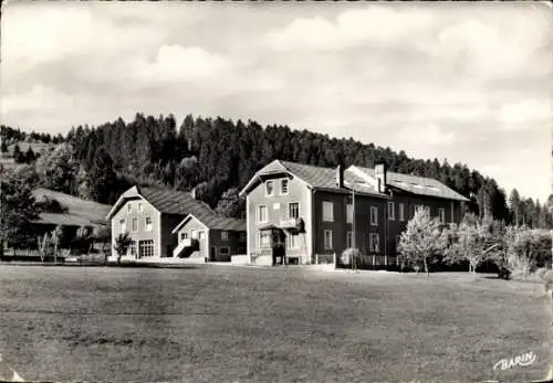 Ak Longemer Lothringen Vosges, Les Jonquilles, Xonrupt