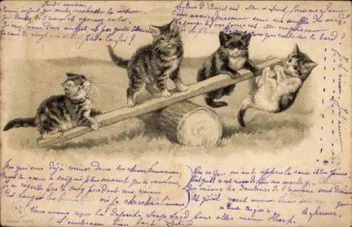 Präge Litho Hauskatzen, Katzen vermenschlicht, Wippe