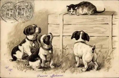 Präge Litho Katze ist vor Hunden auf eine Holzkiste geflüchtet