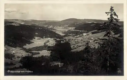 Ak Bärental Feldberg im Schwarzwald, Panorama, Titisee